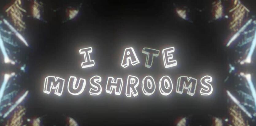 AE插件 人工智能AI神经网络图像生成器 I Ate Mushrooms v1.6.24 Win