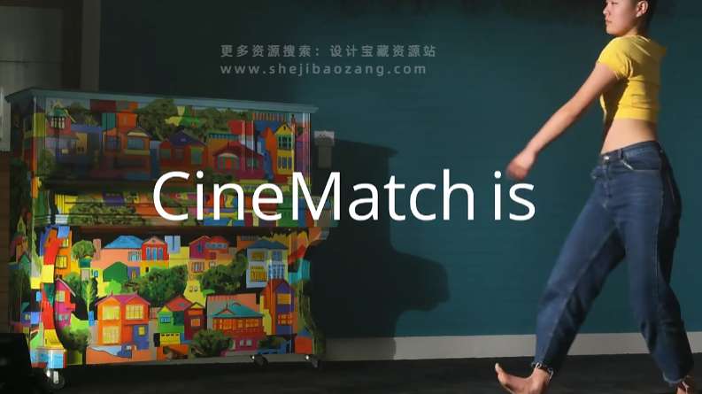 达芬奇插件 摄像机色彩空间匹配调色 CineMatch OFX v1.26 CE Win