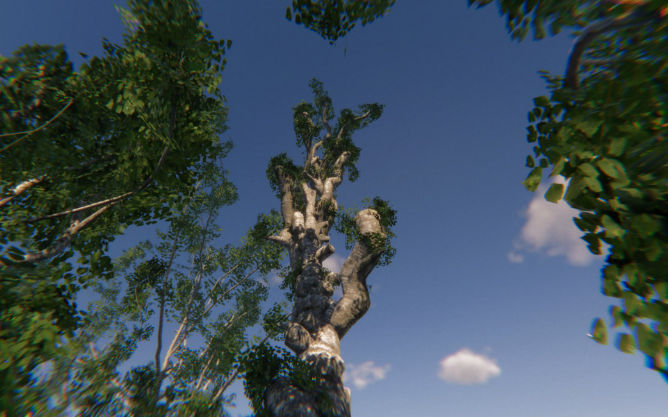Blender自然树木植物环境3D模型资产 Large Tree Asset Pack