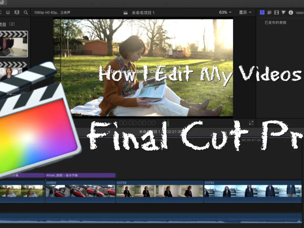 2022 FCPX新手入门基础教程！