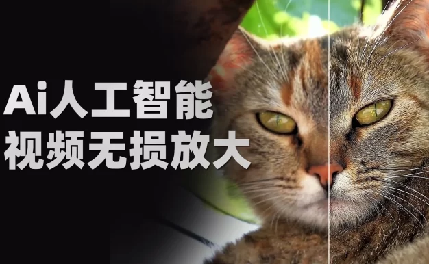 Topaz Video AI 中文汉化版本 附Ai算法模型包！