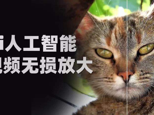 Topaz Video AI 中文汉化版本 附Ai算法模型包！