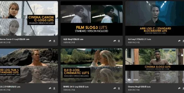 顶级佳能C-Log电影级调色预设 支持PR 达芬奇 luts