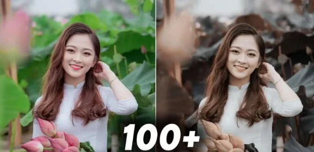 精选100套LUTs调色预设合集