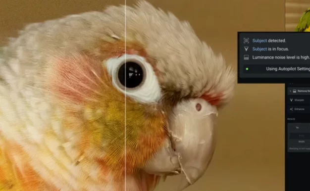 Topaz Photo AI v1.2.6图片无损放大变清晰锐化软件含离线模型库