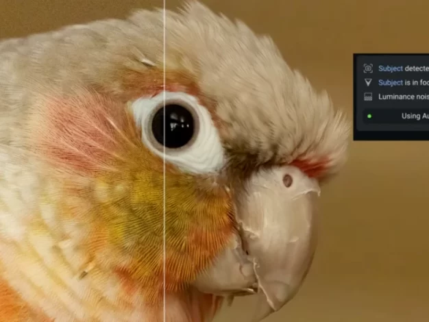 Topaz Photo AI v1.2.6图片无损放大变清晰锐化软件含离线模型库