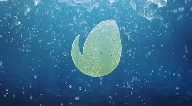 AE飞溅水花动画模板梦幻海洋水下LOGO展示动画片头Water Splash Travel Logo 4