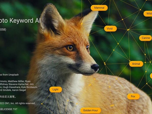 照片素材智能管理AI关键词标注软件 ON1 Photo Keyword AI 2023.5 Win/Mac中文版