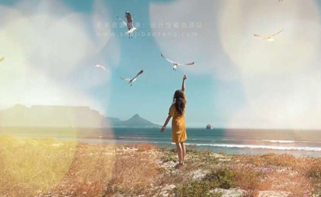 浪漫唯美镜头光晕漏光达芬奇插件预设-Light Leaks Effect