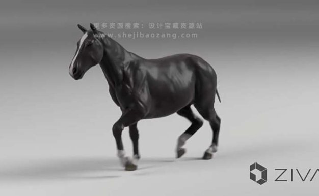 模拟3D人体动物肌肉骨骼Maya插件-Ziva Dynamics Ziva VFX v2.1 Win