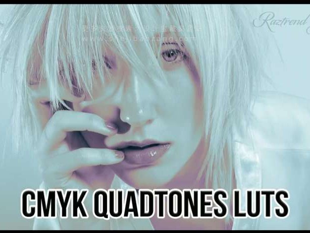 40款LUT调色预设四色调CMYK单通道色彩分级风格化效果 CMYK Quadtones LUTs