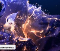 MAXON Cinema 4D C4D 2025.1.2 Win中文版/英文版