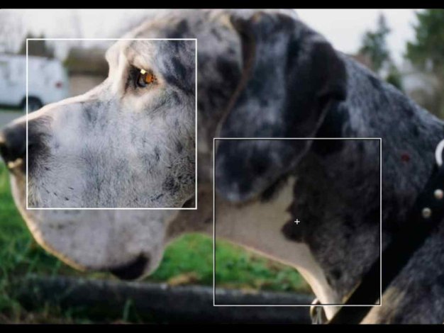 Topaz Photo AI 3.4.2智能图像降噪放大修复软件 Win