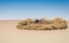 Houdini直升机螺旋桨尘土特效教程 Udemy – Learn to make Helicopter Dust in Houdini from Scratch
