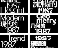 酸性时尚逆反差无衬线潮流英中文LOGO字体安装包20款