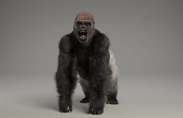 大猩猩贴图毛发骨骼绑定动画3D模型 VFX Grace – Silverback Gorilla (Blender/OBJ格式)