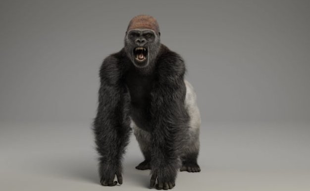 大猩猩贴图毛发骨骼绑定动画3D模型 VFX Grace – Silverback Gorilla (Blender/OBJ格式)