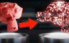 Blender模型粒子分解破碎特效资产预设 Disintegrate Into Objects