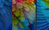 Substance Designer羽毛纹理材质制作教程 Levelup Digital – Feather Creation