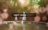 达芬奇梦幻婚礼浪漫光效叠加特效预设 Light Leaks Effect