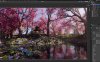 Blender写实日本凉亭河边樱花园林3D模型场景自然环境工程素材